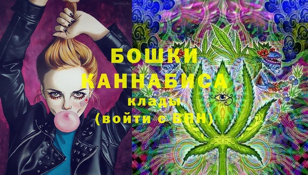хмурый Липки
