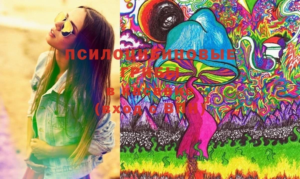 хмурый Липки