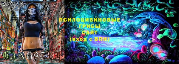 хмурый Липки